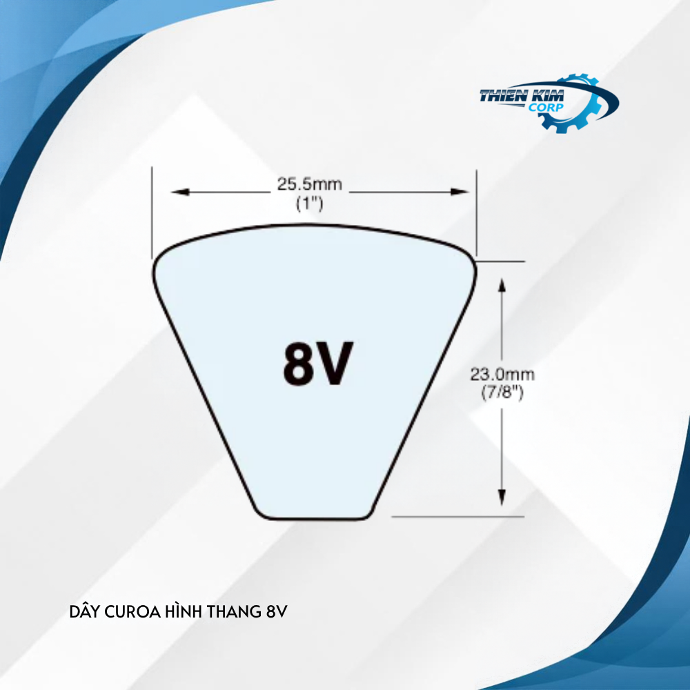 DÂY CUROA HÌNH THANG 8V