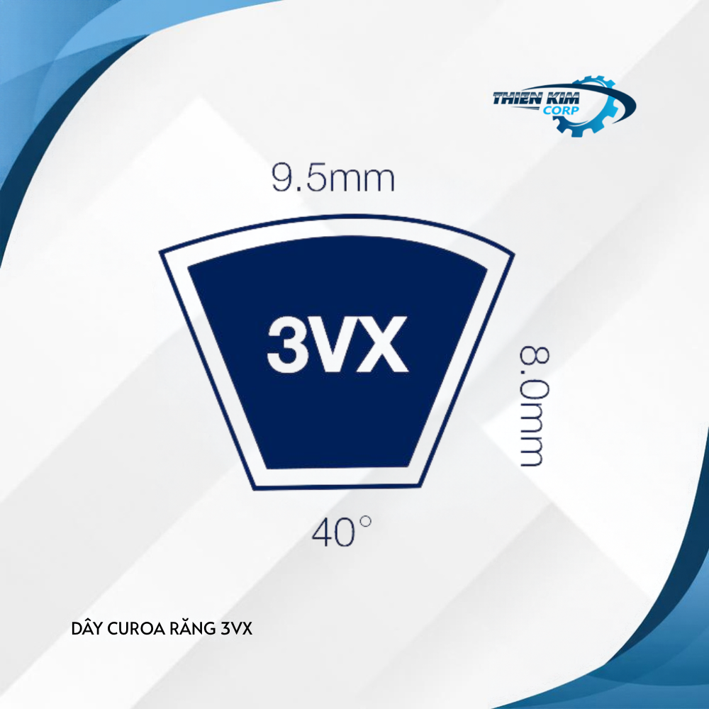 DÂY CUROA RĂNG 3VX