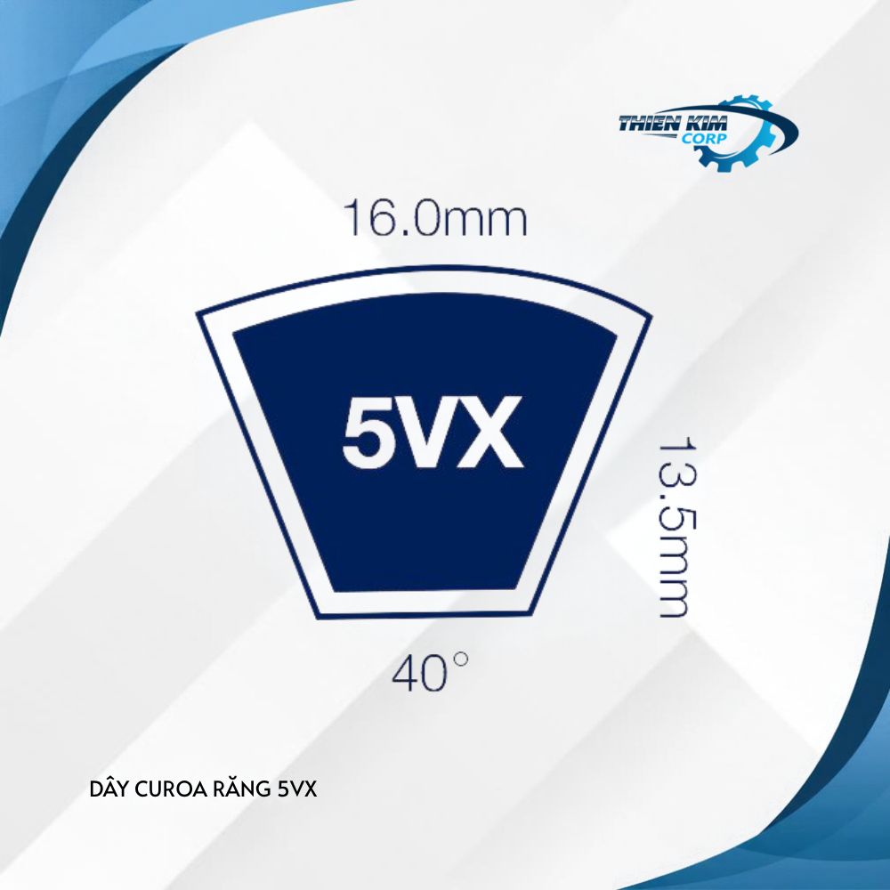 DÂY CUROA RĂNG 5VX