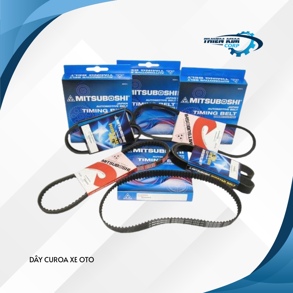 DÂY CUROA XE OTO