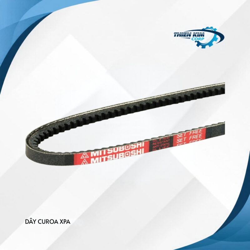 DÂY CUROA XPA